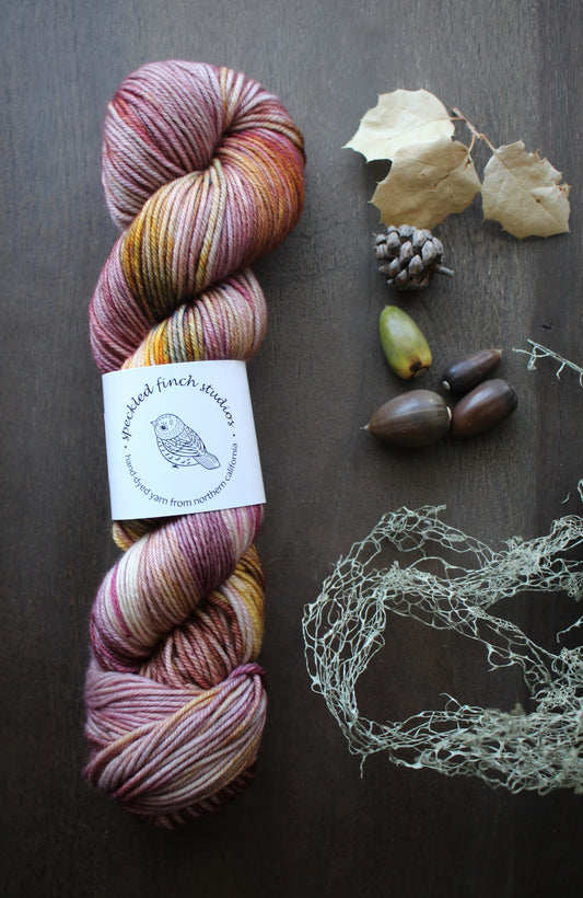 Speckled Finch Studios Bouncy DK / Autumn Mist