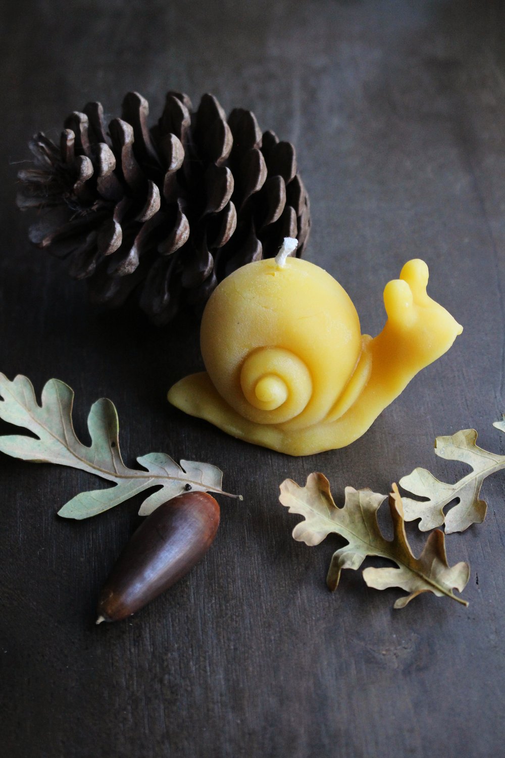 Forest Floor Beeswax Candles