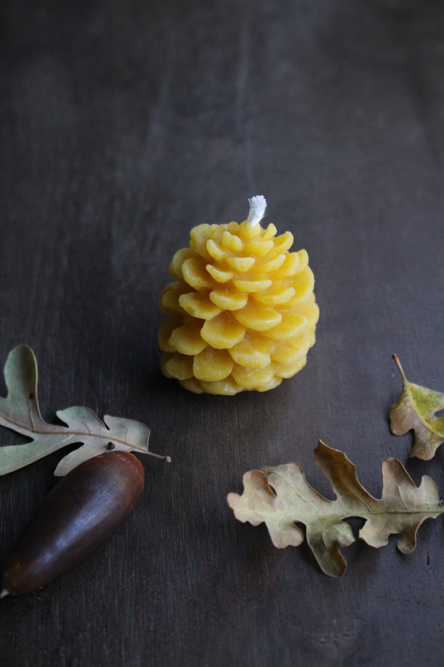Forest Floor Beeswax Candles