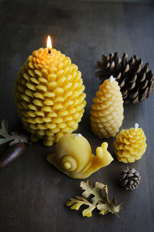 Forest Floor Beeswax Candles
