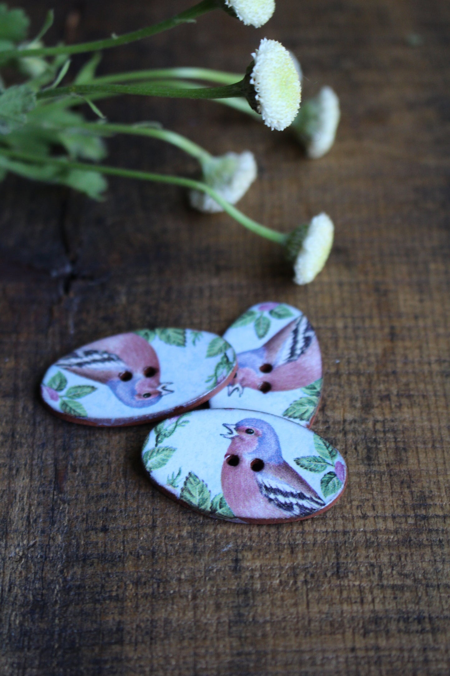 Oval Chaffinch Ceramic Buttons