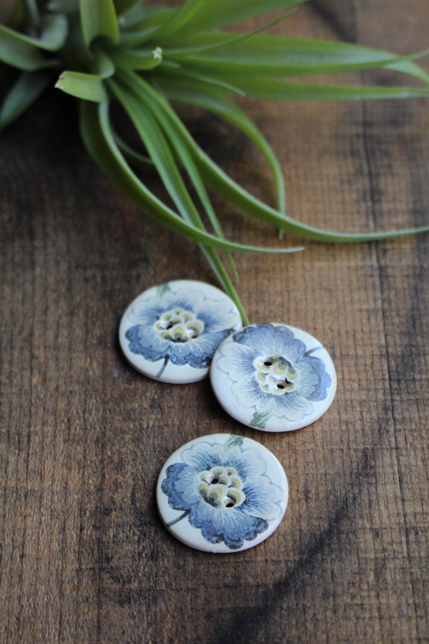 Pincushion Flower Ceramic Buttons