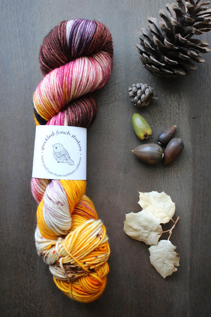 Speckled Finch Studios Bouncy DK / Falling Leaves