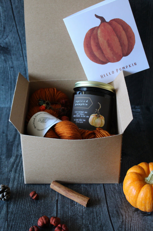 Pumpkin Spice Knitter's Gift Set