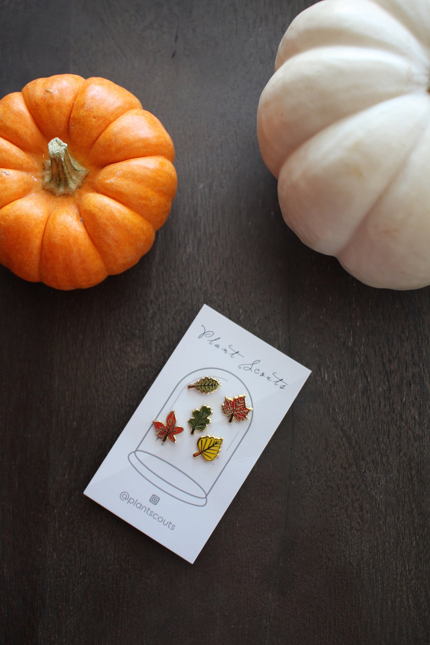 Mini Fall Leaves Enamel Pin Set