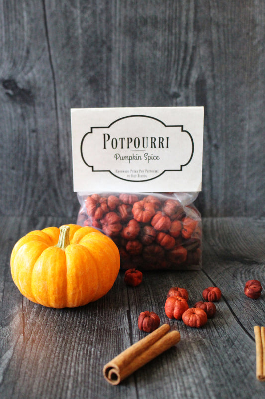 Mini Pumpkin Potpourri