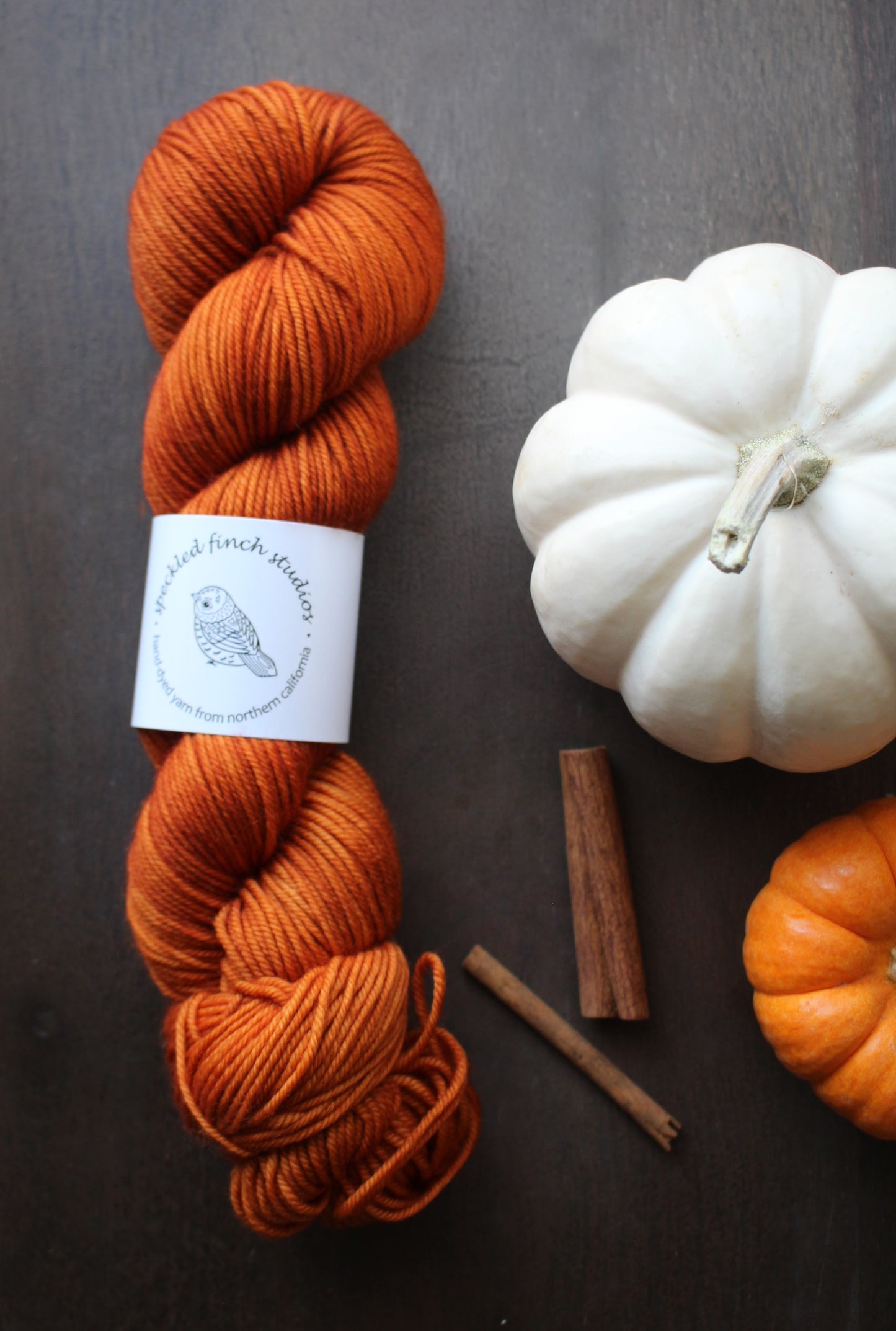 Pumpkin Spice Knitter's Gift Set