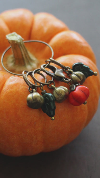 Harvest Pumpkin Stitch Markers Set