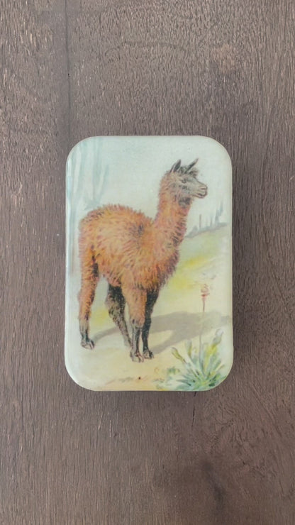 Llama Knit Kit