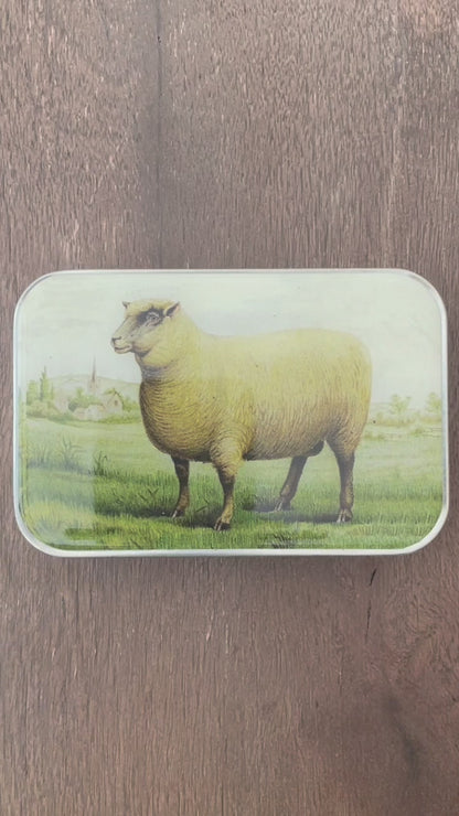 Sheep Knit Kit