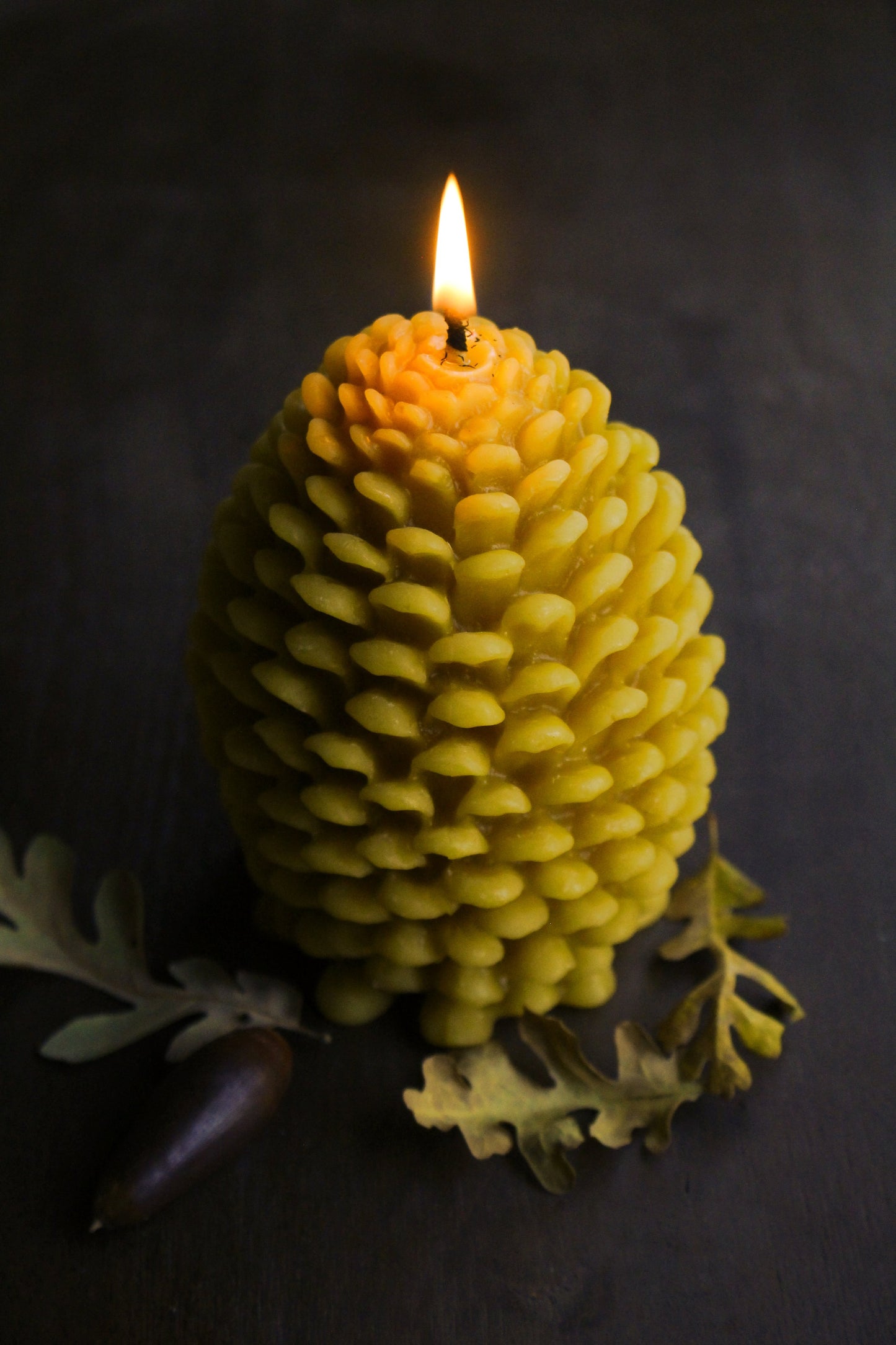 Forest Floor Beeswax Candles