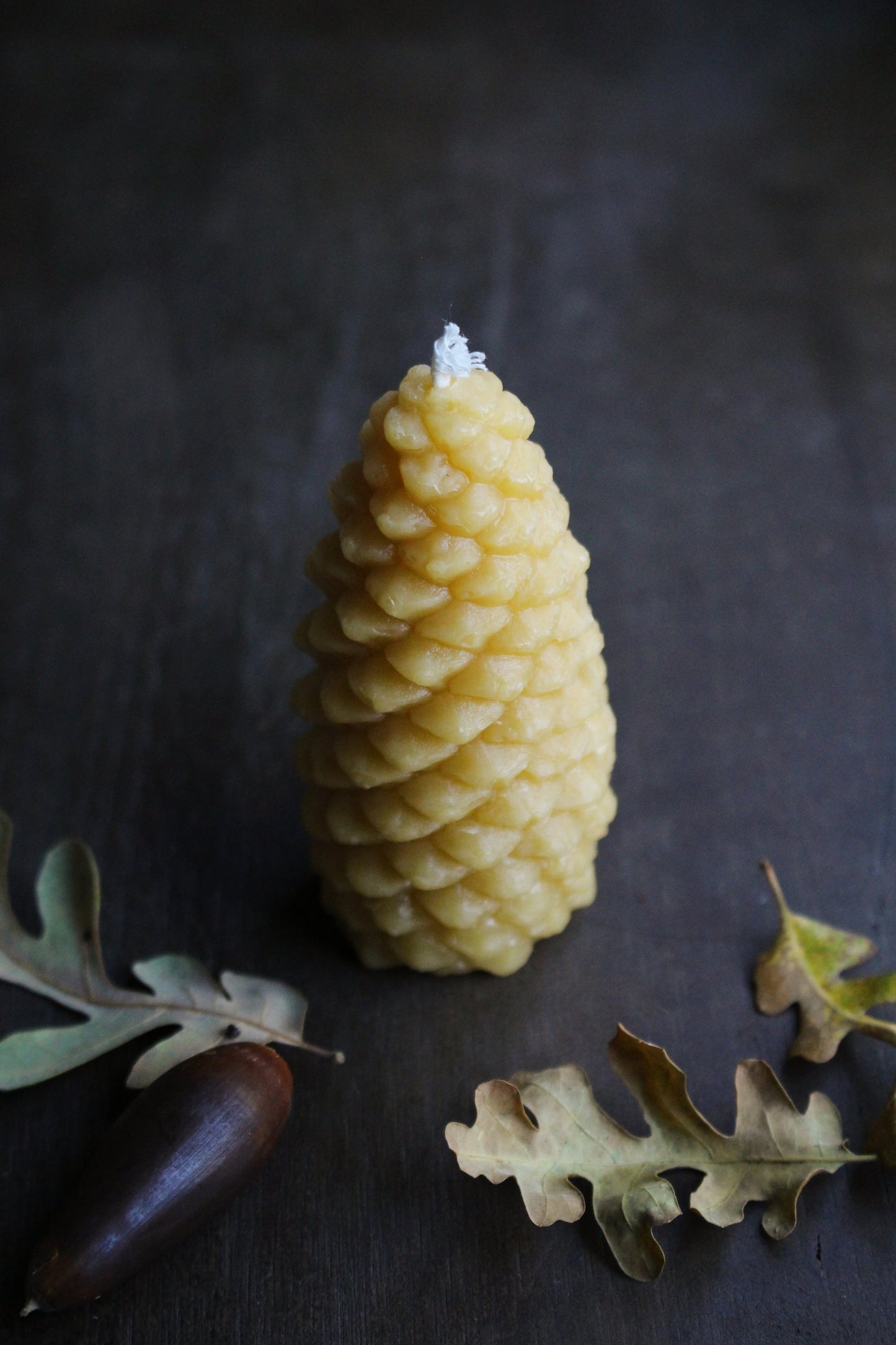 Forest Floor Beeswax Candles