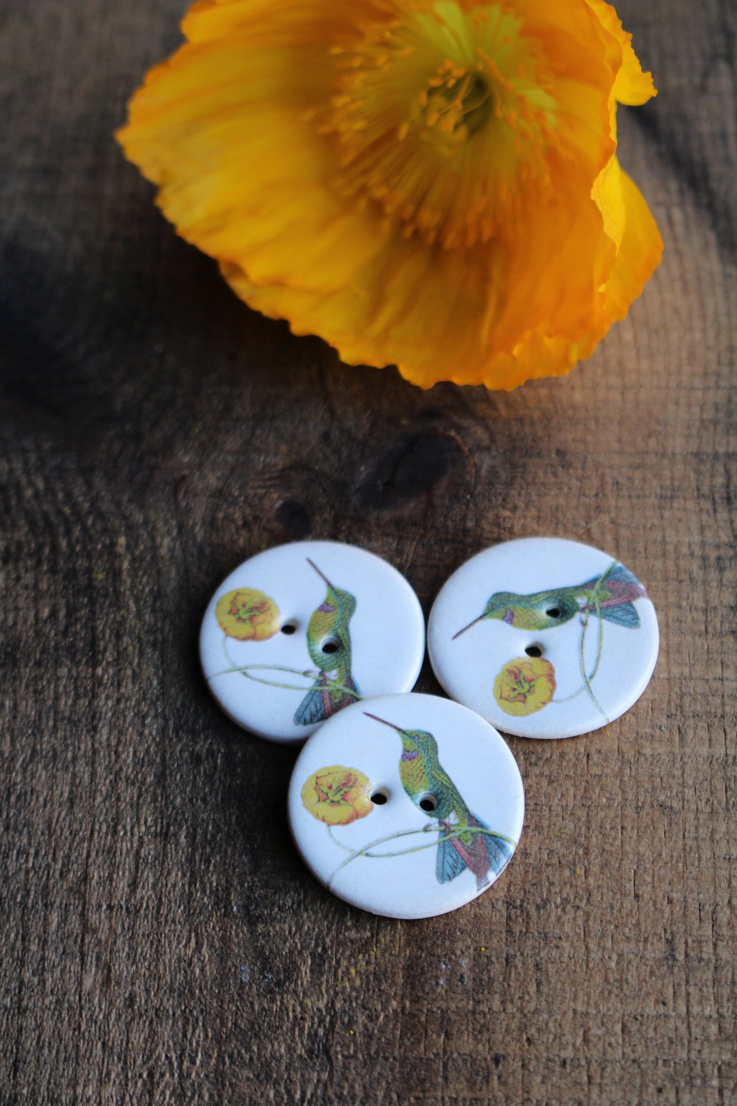 Hummingbird Ceramic Button